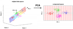 PCA_1-300x119.png